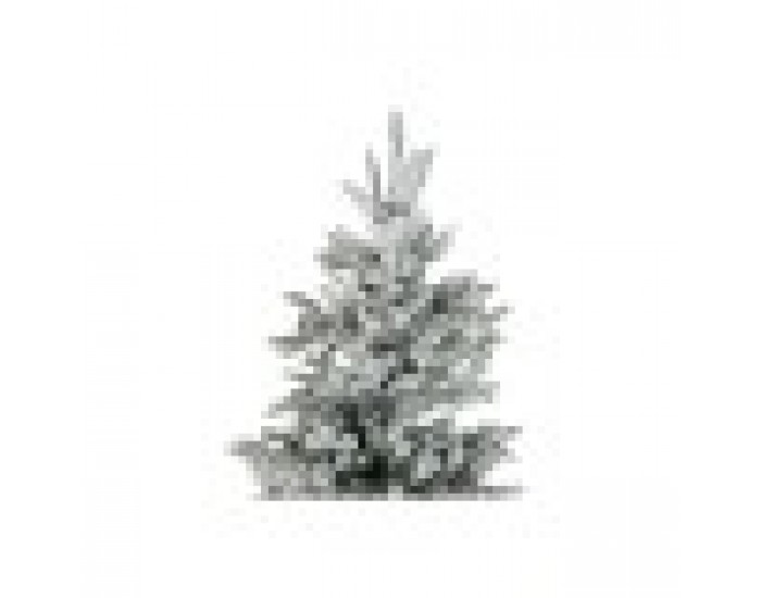 Коледно дърво DKD Home Decor Бял Зелен полиетилен Снежен 140 x 140 x 210 cm Коледно дърво DKD Home Decor Бял Зелен полиетилен Снежен 140 x 140 x 210 cm