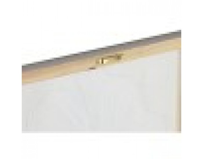Картина Home ESPRIT Бял Златен Пластно Дървен MDF Лист на растение романтичен 30 x 2,5 x 60 cm (2 броя)