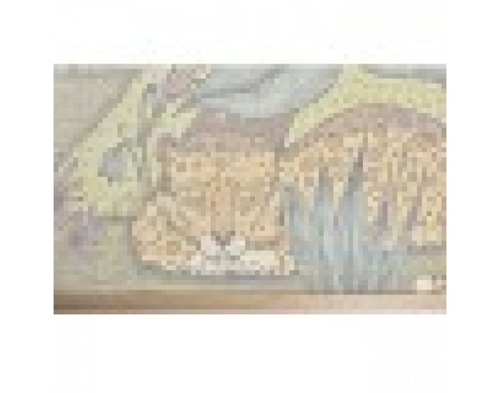 Картина DKD Home Decor Животни (100 x 2 x 75 cm) (2 броя)