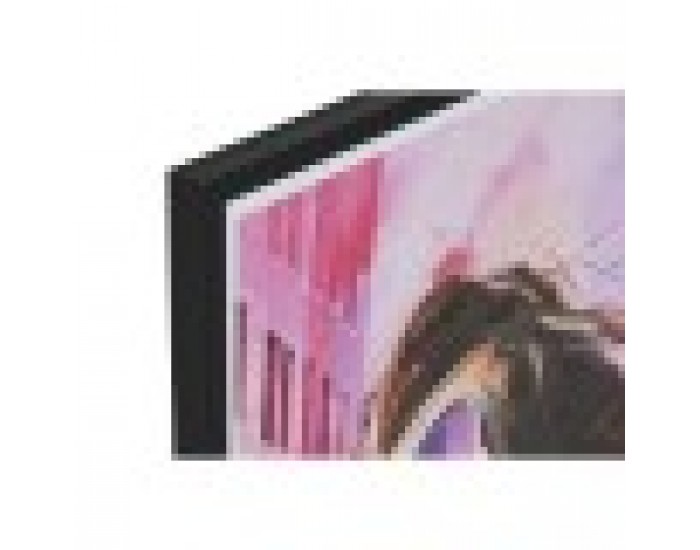 Картина Home ESPRIT Розов Дама Модерен 50 x 2,5 x 70 cm (2 броя)