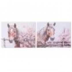 Картина Home ESPRIT Бежов Розов Пластно Дървен MDF Кон Shabby Chic 80 x 2,5 x 60 cm (2 броя) - Картини, Плакати, Пъзели