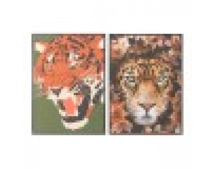 Картина DKD Home Decor Пластно (2 pcs) (52 x 2.7 x 72 cm)