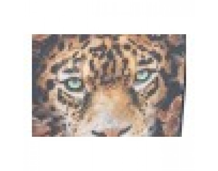 Картина DKD Home Decor Пластно (2 pcs) (52 x 2.7 x 72 cm)