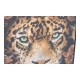 Картина DKD Home Decor Пластно (2 pcs) (52 x 2.7 x 72 cm)