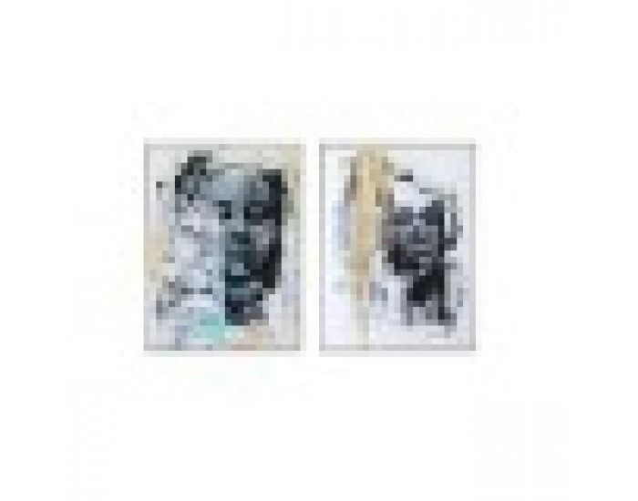 Картина DKD Home Decor Африканка (2 pcs) (60 x 3 x 80 cm)