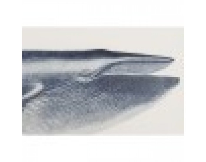 Картина Home ESPRIT Кит 70 x 2,5 x 35 cm (2 броя)