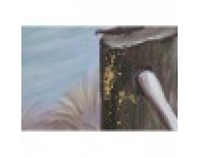Картина Home ESPRIT Птици Средиземноморско 80 x 3 x 80 cm (2 броя) Картина Home ESPRIT Птици Средиземноморско 80 x 3 x 80 cm (2 броя)