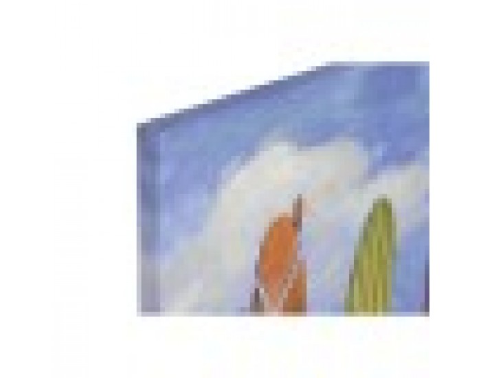 Картина Home ESPRIT Сърф 100 x 3 x 70 cm (2 броя)