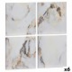 Комплект от 4 снимки Пластно Мрамор Бял 35 x 7 x 35 cm (6 броя) - Картини, Плакати, Пъзели
