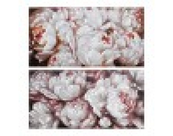 Картина DKD Home Decor Lilled (120 x 3 x 60 cm) (2 pcs)