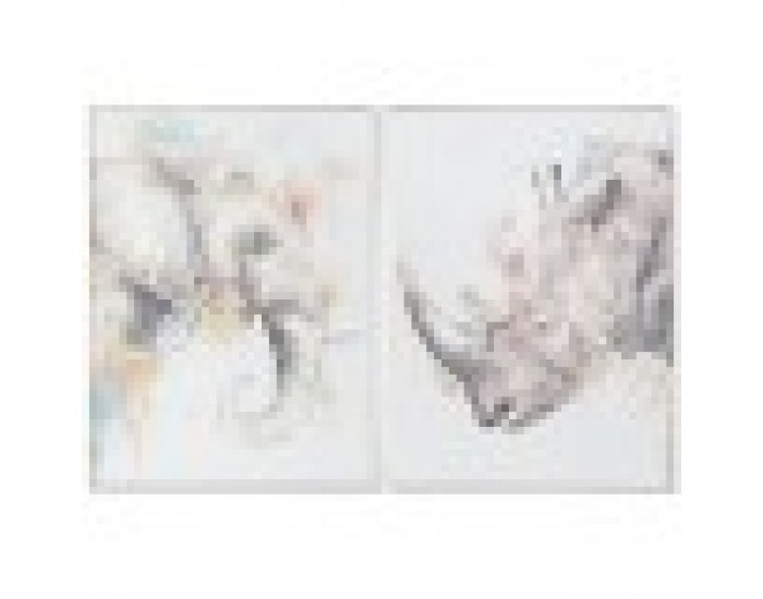 Картина DKD Home Decor Модерен Животни 60 x 3,5 x 80 cm (2 броя)