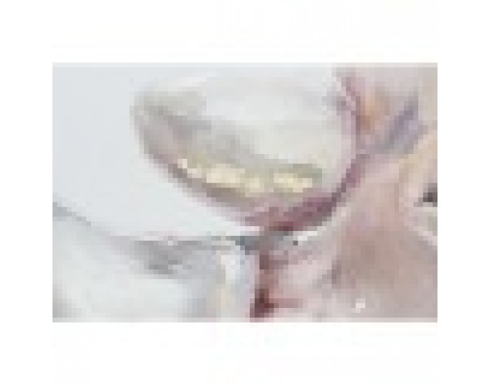 Картина DKD Home Decor Модерен Животни 60 x 3,5 x 80 cm (2 броя)