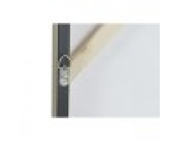 Картина DKD Home Decor Модерен Животни 60 x 3,5 x 80 cm (2 броя)