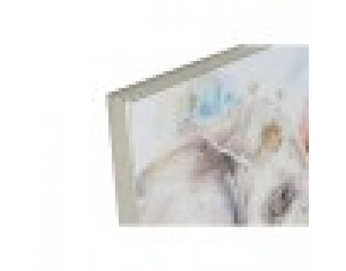 Картина DKD Home Decor Модерен Животни 60 x 3,5 x 80 cm (2 броя)