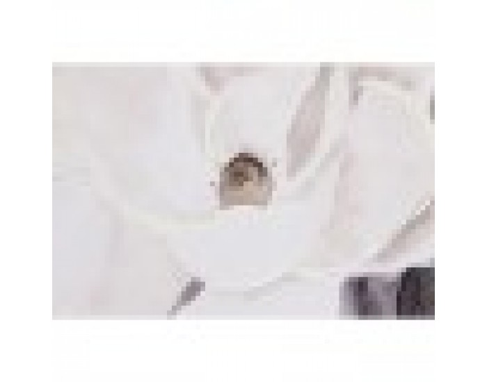 Картина DKD Home Decor Ваза (80 x 3,5 x 80 cm) (2 броя)