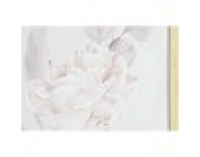Картина DKD Home Decor Ваза (50 x 4 x 70 cm) (2 броя) Картина DKD Home Decor Ваза (50 x 4 x 70 cm) (2 броя)