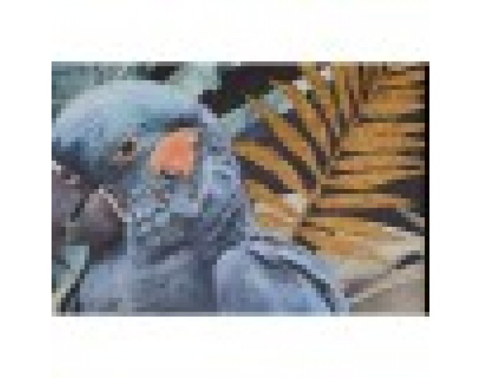 Картина Home ESPRIT Папагал Тропически Лакиран 50 x 3,5 x 70 cm (2 броя)