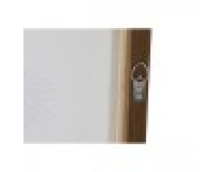 Картина Home ESPRIT Палми Колониален 60 x 4 x 80 cm (2 броя)