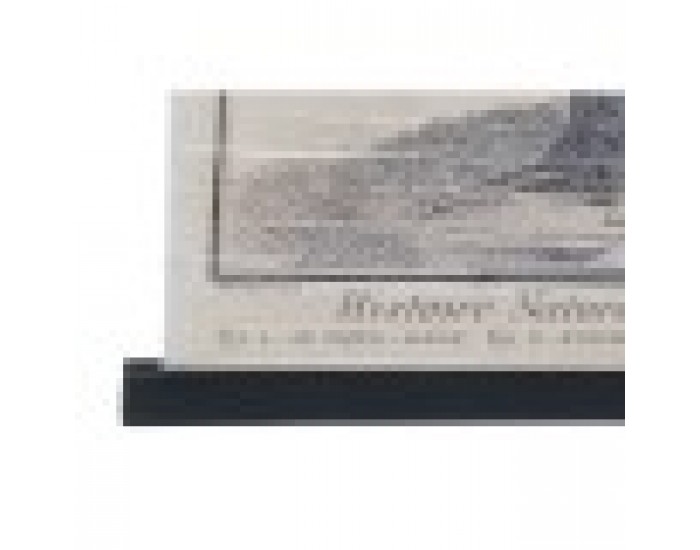 Пластно DKD Home Decor Птици (4 pcs) (60 x 2 x 90 cm) Пластно DKD Home Decor Птици (4 pcs) (60 x 2 x 90 cm)