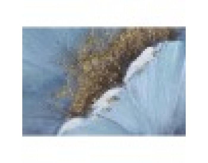 Картина Home ESPRIT романтичен 80 x 3 x 120 cm (2 броя)