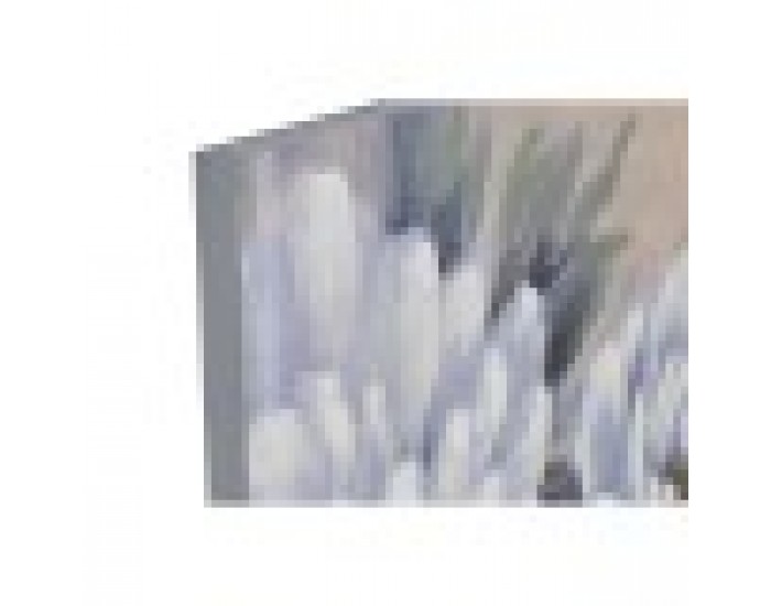 Картина Home ESPRIT романтичен 80 x 3 x 120 cm (2 броя)