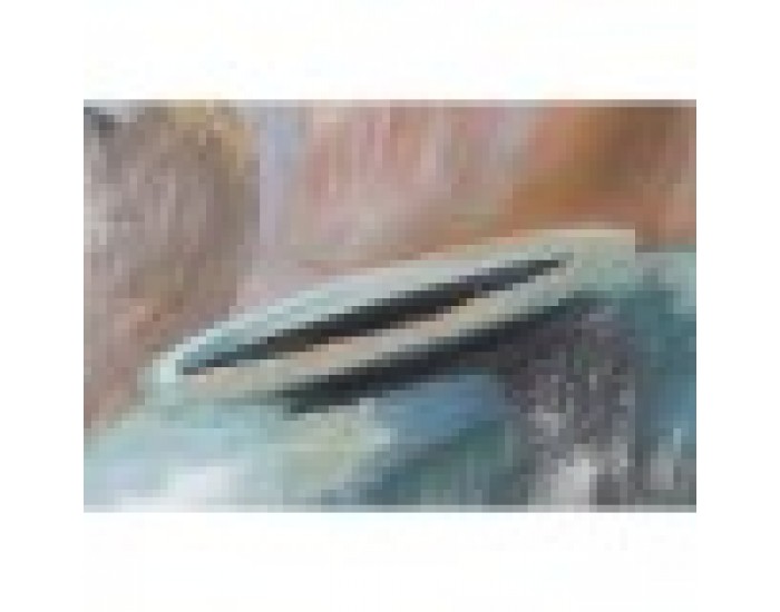 Картина DKD Home Decor Пластно Ваза (2 pcs) (90 x 2.7 x 60 cm)