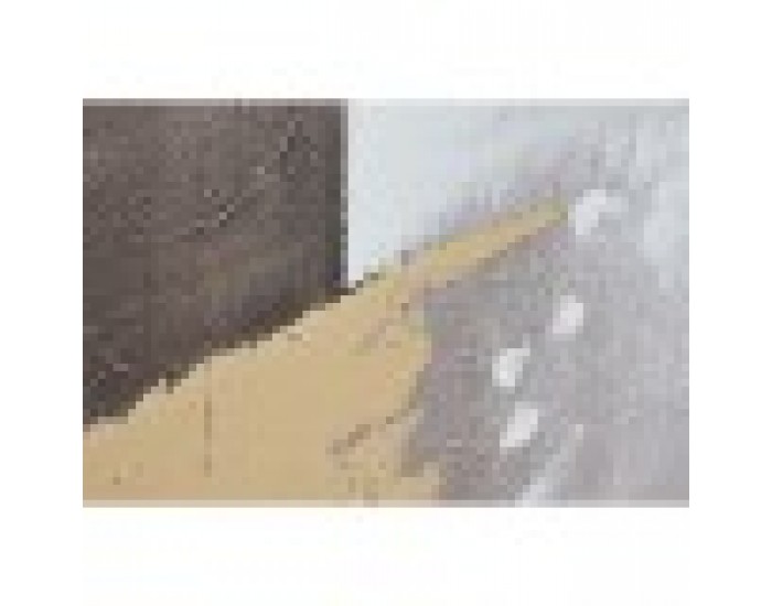 Картина Home ESPRIT Кафяв Златен Абстрактен Модерен 80 x 4 x 80 cm (2 броя)