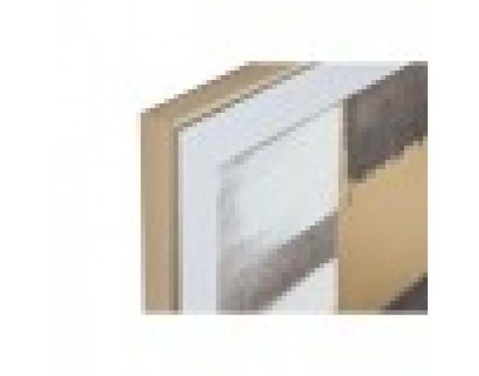Картина Home ESPRIT Кафяв Златен Абстрактен Модерен 80 x 4 x 80 cm (2 броя)