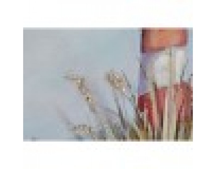 Картина Home ESPRIT Фар Средиземноморско 140 x 3 x 70 cm (2 броя) Картина Home ESPRIT Фар Средиземноморско 140 x 3 x 70 cm (2 броя)