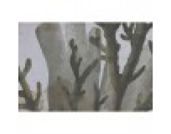 Картина Home ESPRIT Зелен Корал Средиземноморско 45 x 2 x 60 cm (2 броя)