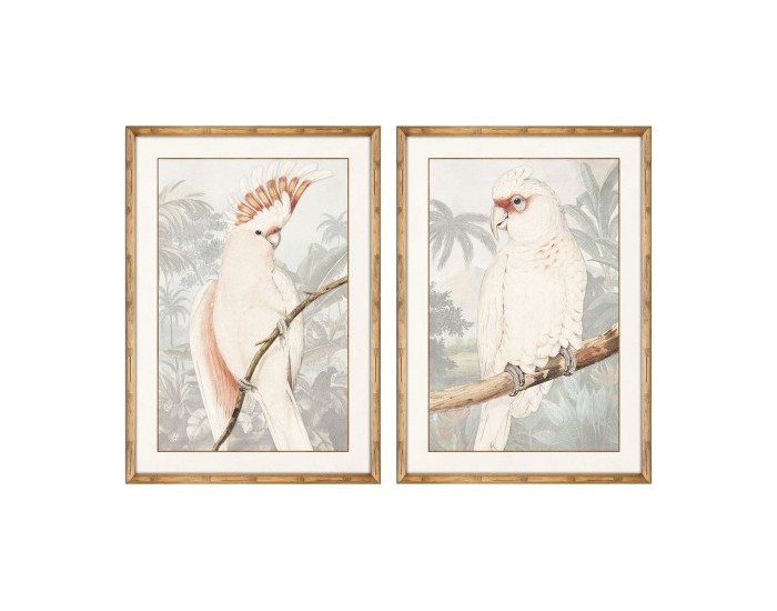 Картина DKD Home Decor Папагал (50 x 2 x 70 cm) (2 pcs)