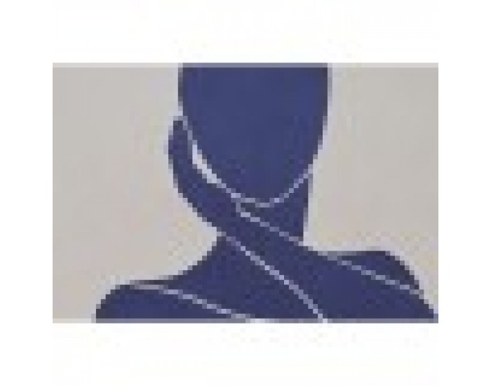 Картина DKD Home Decor Дама Модерен (60 x 4 x 80 cm) (2 броя)