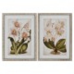 Картина Home ESPRIT Тропически Орхидея 50 x 2,5 x 70 cm (2 броя) - Дневна