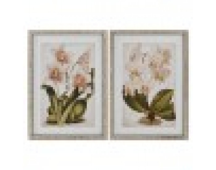 Картина Home ESPRIT Тропически Орхидея 50 x 2,5 x 70 cm (2 броя) Картина Home ESPRIT Тропически Орхидея 50 x 2,5 x 70 cm (2 броя)