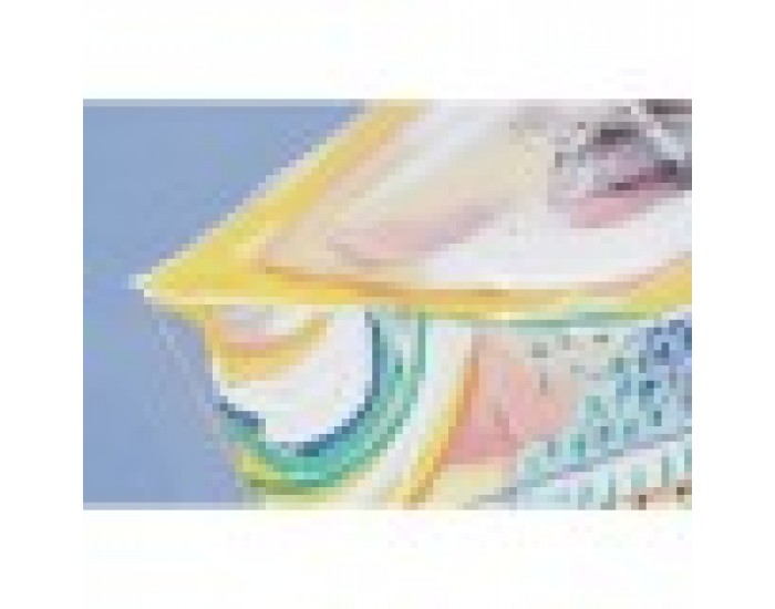 Картина DKD Home Decor Пластно Ваза (2 pcs) (80 x 2.8 x 80 cm)