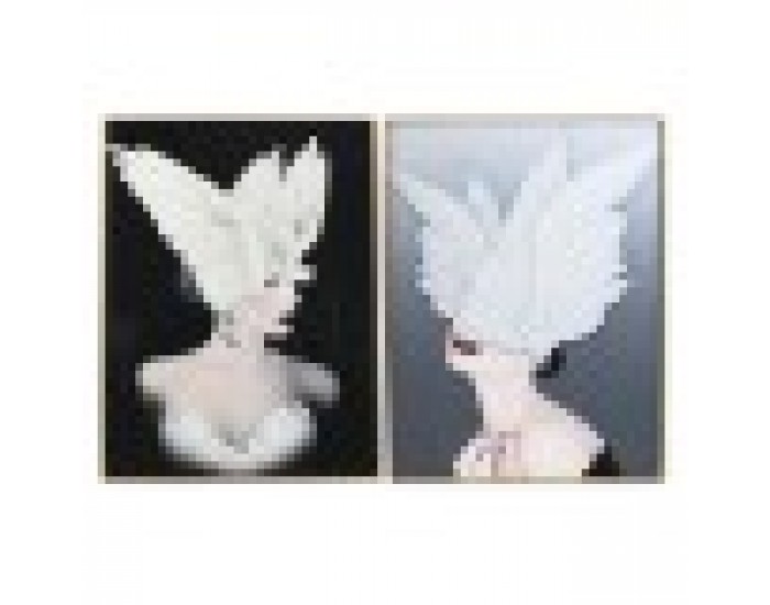 Картина DKD Home Decor Пера Модерен (60 x 3 x 80 cm) (2 броя)