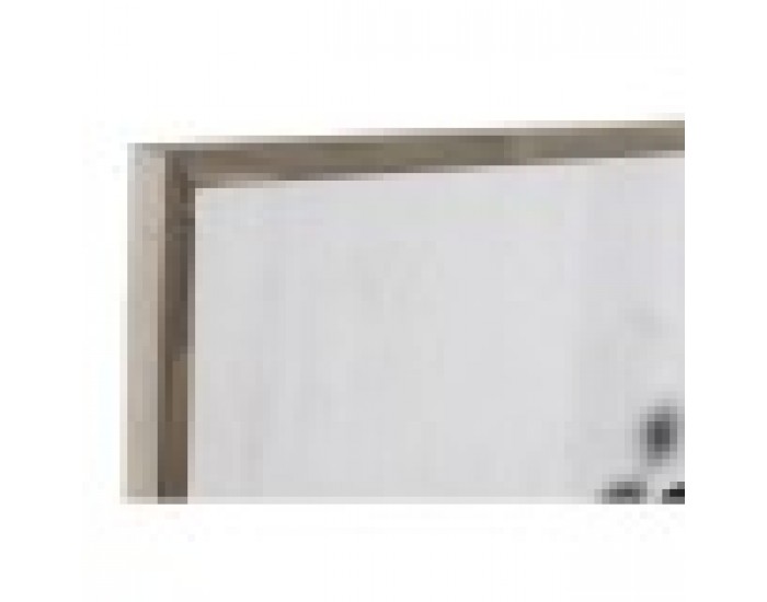 Картина DKD Home Decor Лист на растение (51 x 3 x 76,5 cm) (2 броя)