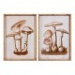Картина DKD Home Decor Кристал Бамбук Диви Гъби (50 x 70 x 2,8 cm) (2 броя) - Картини, Плакати, Пъзели