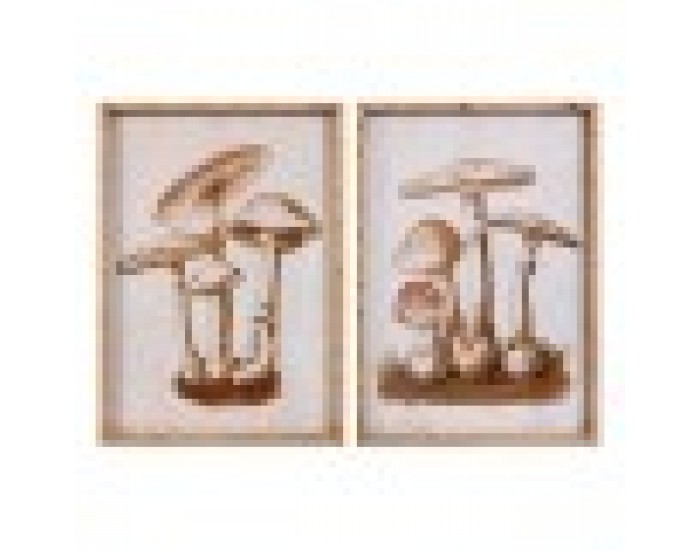 Картина DKD Home Decor Кристал Бамбук Диви Гъби (50 x 70 x 2,8 cm) (2 броя)