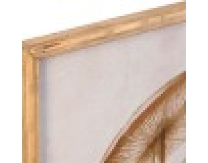 Картина DKD Home Decor Кристал Бамбук Диви Гъби (50 x 70 x 2,8 cm) (2 броя)