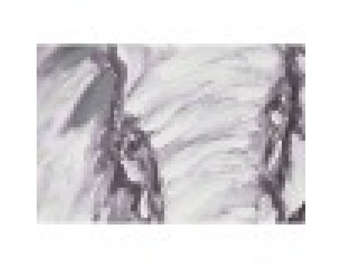 Картина Home ESPRIT Колониален 100 x 3,5 x 100 cm (2 броя) Картина Home ESPRIT Колониален 100 x 3,5 x 100 cm (2 броя)