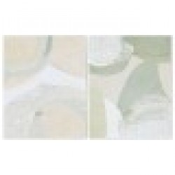 Картина Home ESPRIT Абстрактен Модерен 80 x 3,8 x 100 cm (2 броя) - Картини, Плакати, Пъзели