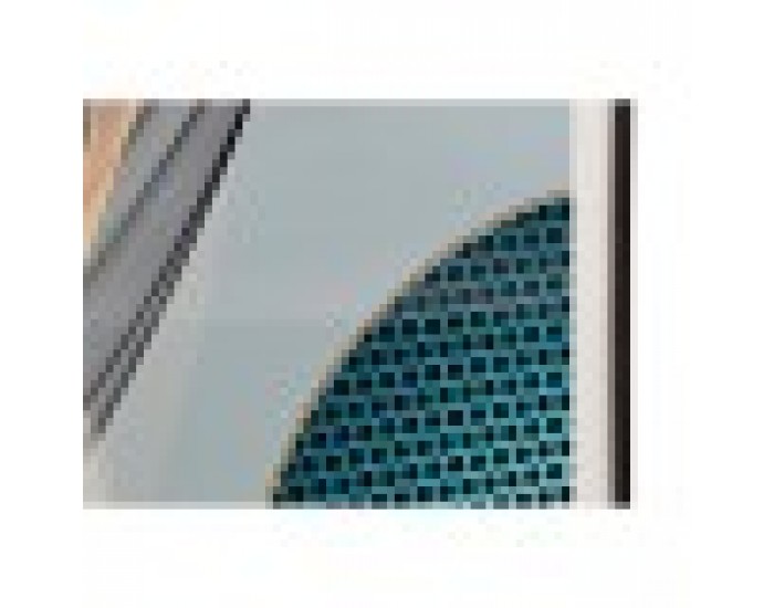 Картина DKD Home Decor Пера (80 x 3 x 160 cm) (2 броя)