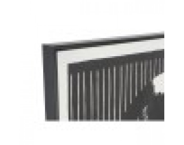 Картина DKD Home Decor Папагал (2 pcs) (83 x 4.5 x 123 cm)