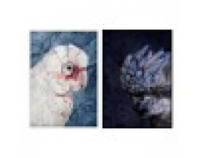 Картина DKD Home Decor Папагал (2 pcs) (83 x 4.5 x 123 cm)