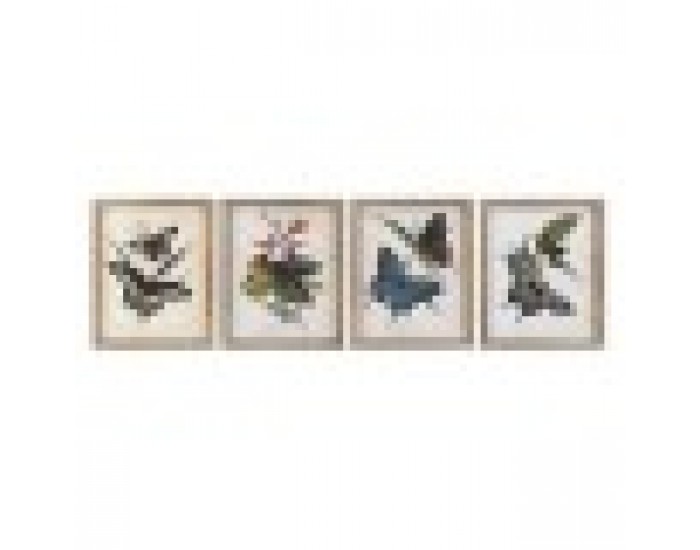 Картина DKD Home Decor Пеперуди Shabby Chic (40 x 2 x 50 cm) (4 броя)