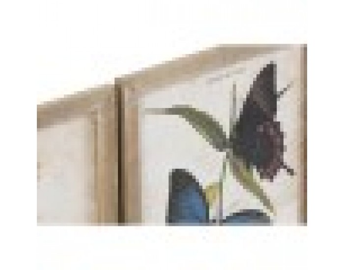 Картина DKD Home Decor Пеперуди Shabby Chic (40 x 2 x 50 cm) (4 броя)