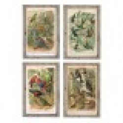 Картина DKD Home Decor Птици (45 x 2 x 65 cm) (4 pcs) - Картини, Плакати, Пъзели
