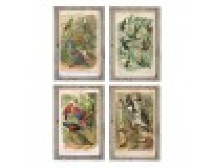 Картина DKD Home Decor Птици (45 x 2 x 65 cm) (4 pcs)