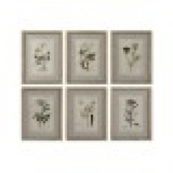 Картина Home ESPRIT Shabby Chic Ботанически растения 30 x 2 x 40 cm (6 броя) - Картини, Плакати, Пъзели